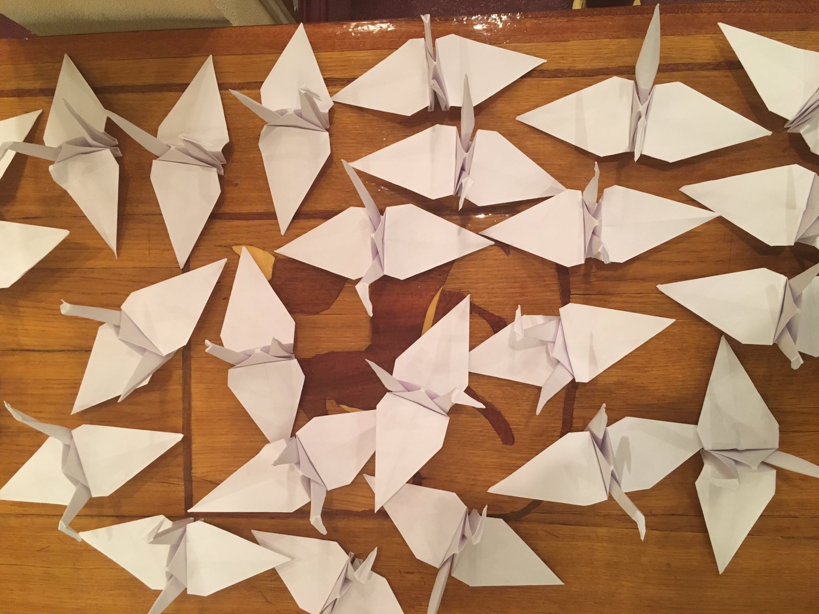 изображение viber 2020 12 03 14 23 14