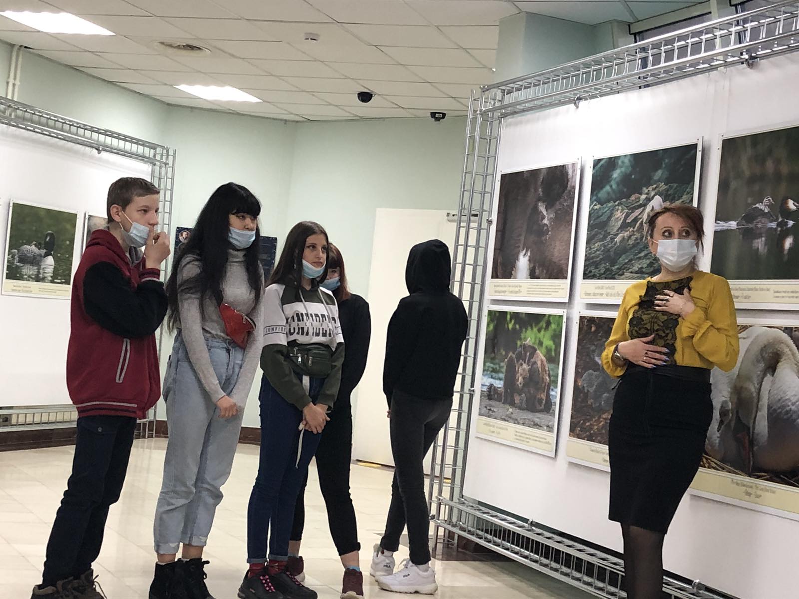 изображение viber 2020 12 02 14 51 24