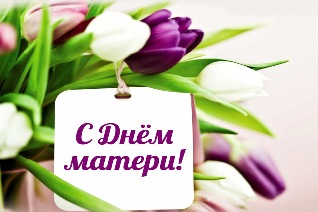 сднемматери