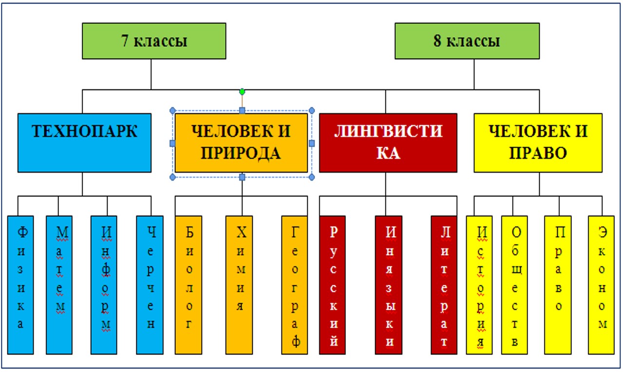 DMK S