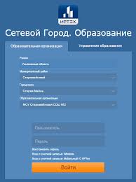 сетевой город