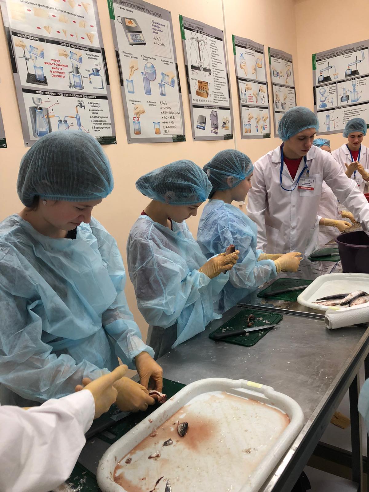 изображение viber 2019 12 06 15 19 24